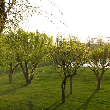 Agriturismo Feliciana Pozzolengo Dış mekan fotoğraf