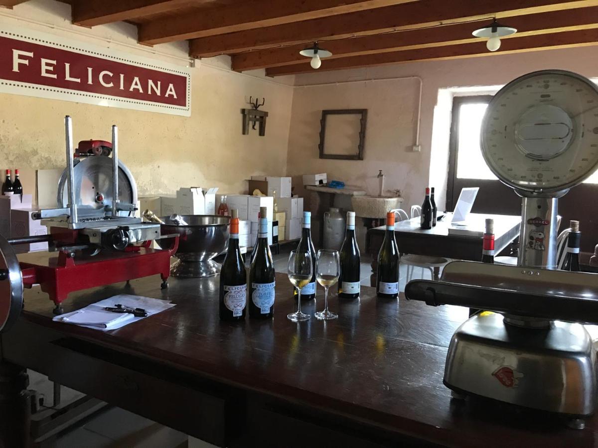 Agriturismo Feliciana Pozzolengo Dış mekan fotoğraf