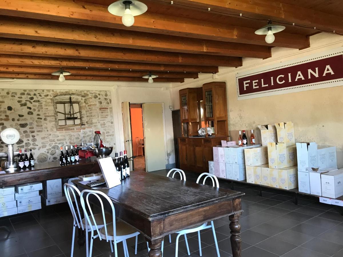 Agriturismo Feliciana Pozzolengo Dış mekan fotoğraf