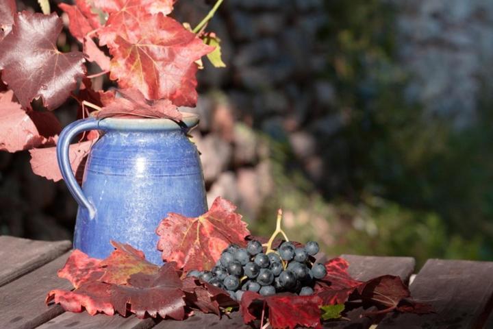 Agriturismo Feliciana Pozzolengo Dış mekan fotoğraf