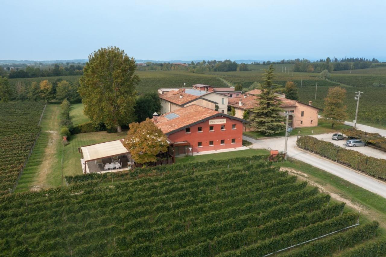 Agriturismo Feliciana Pozzolengo Dış mekan fotoğraf